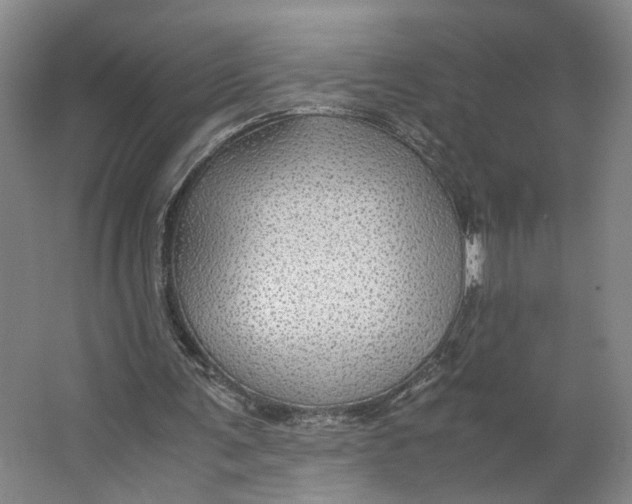 X0000063460291200602101722