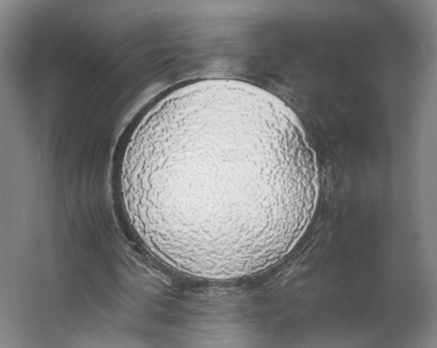 X0000063460292200602101722