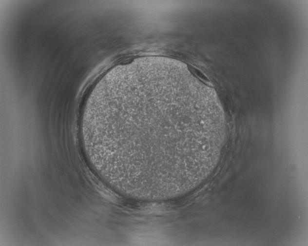 X0000063460293200602101721
