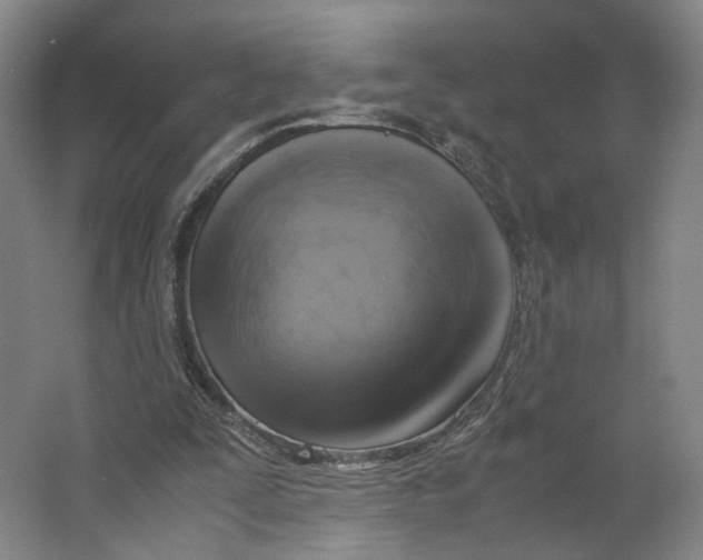 X0000063460295200602101721