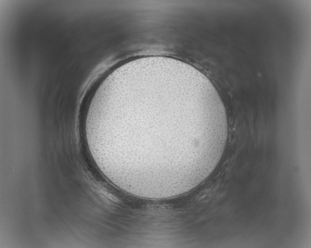 X0000063460296200602101721