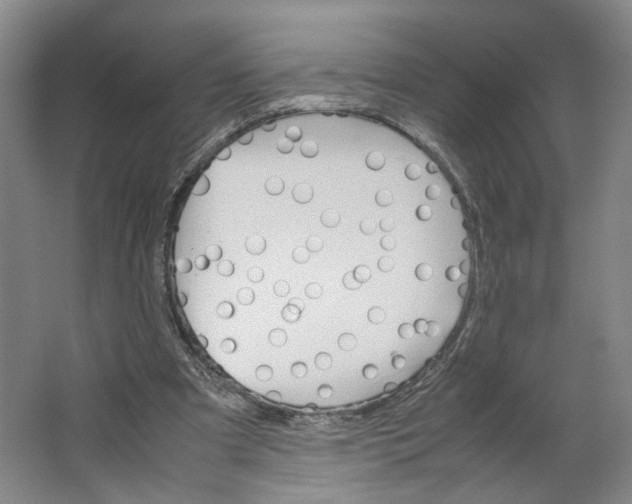X0000063460297200602101721