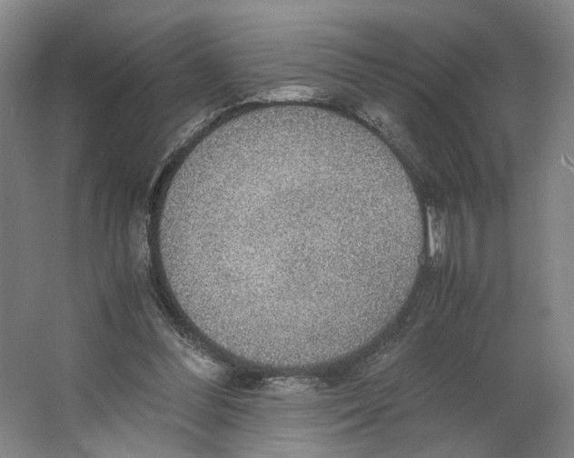 X0000063460300200602101721