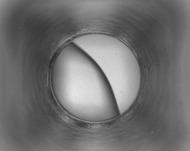 X0000063460301200602101721