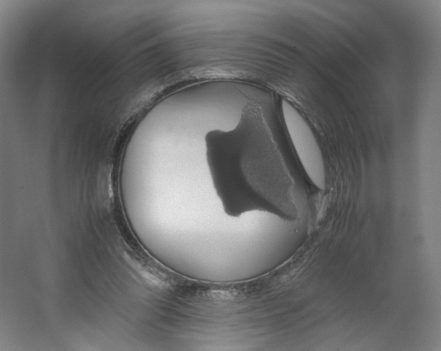 X0000063460302200602101721