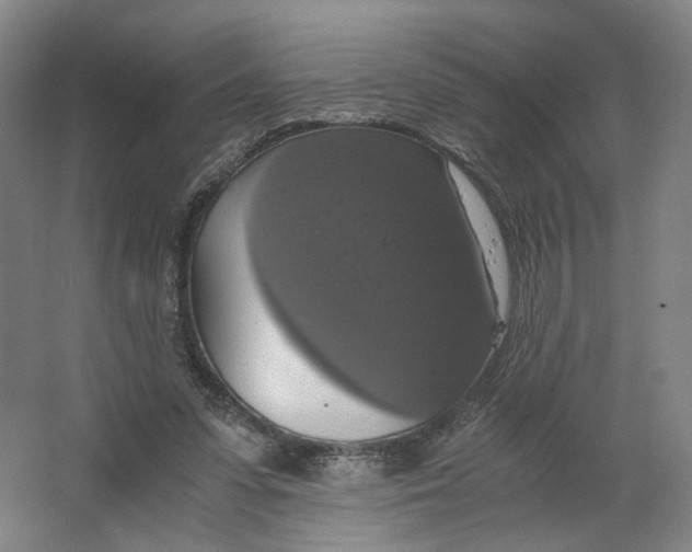 X0000063460303200602101721