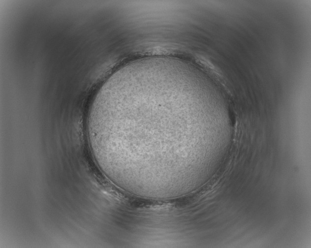 X0000063460306200602101721