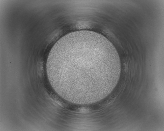 X0000063460308200602101721