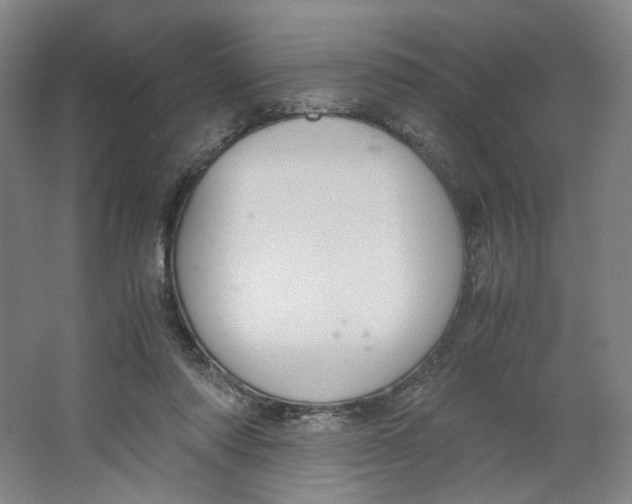 X0000063460310200602101721