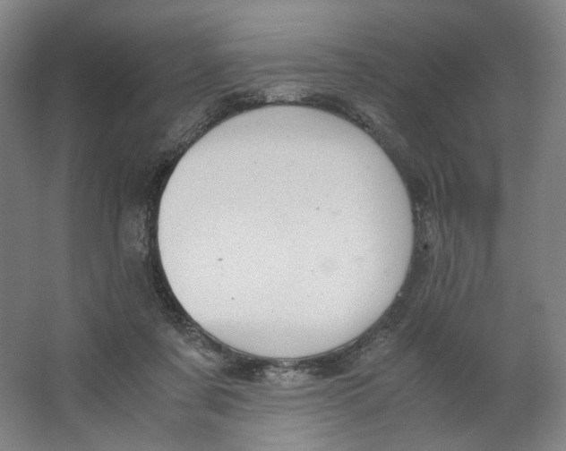 X0000063460311200602101721