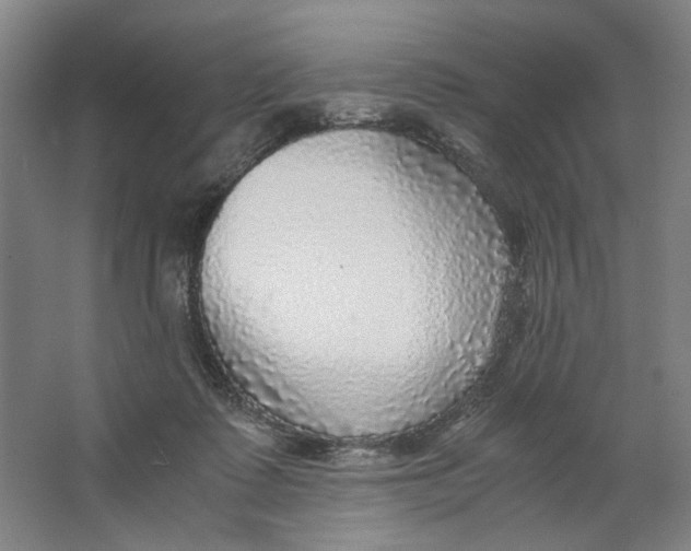 X0000063460315200602101721