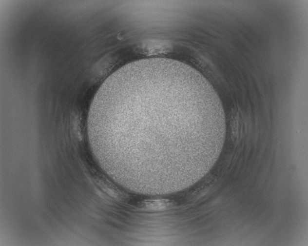X0000063460316200602101721