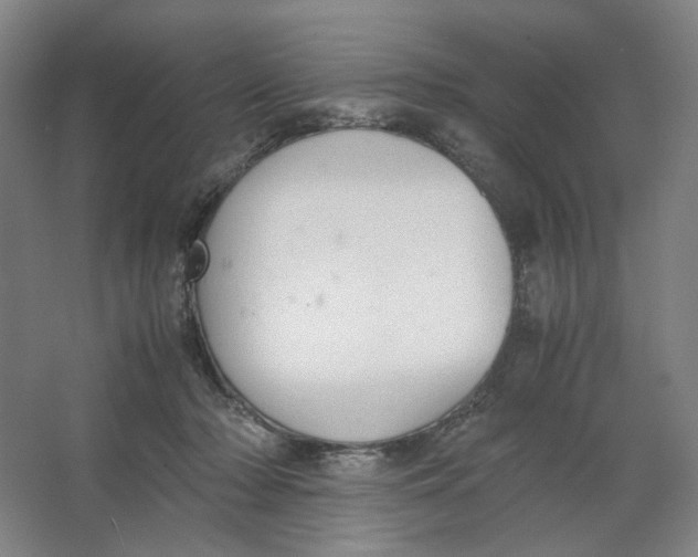 X0000063460318200602101721