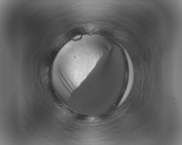 X0000063460319200602101721
