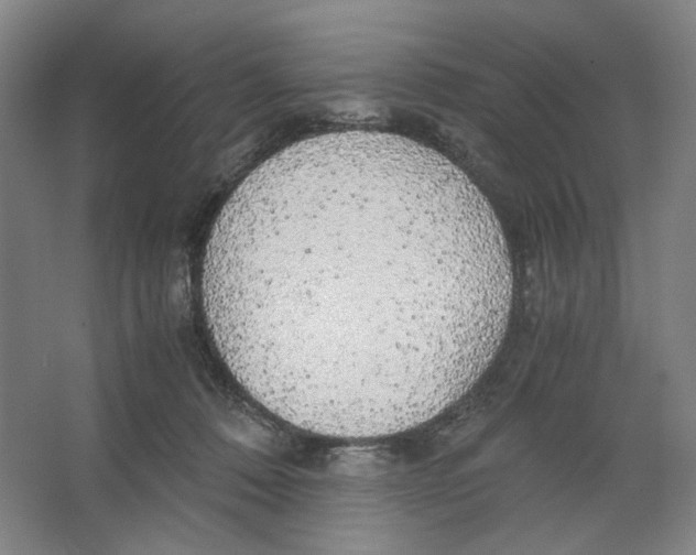 X0000063460320200602101721