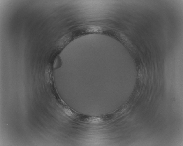 X0000063460322200602101721