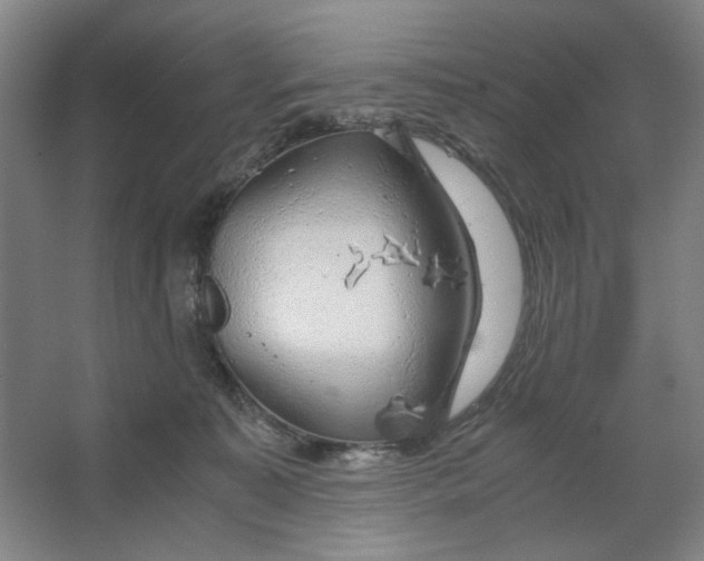 X0000063460323200602101721