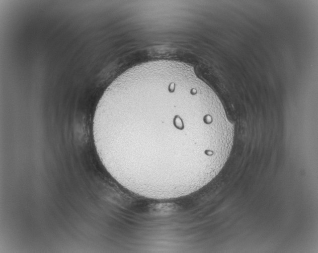 X0000063460324200602101721