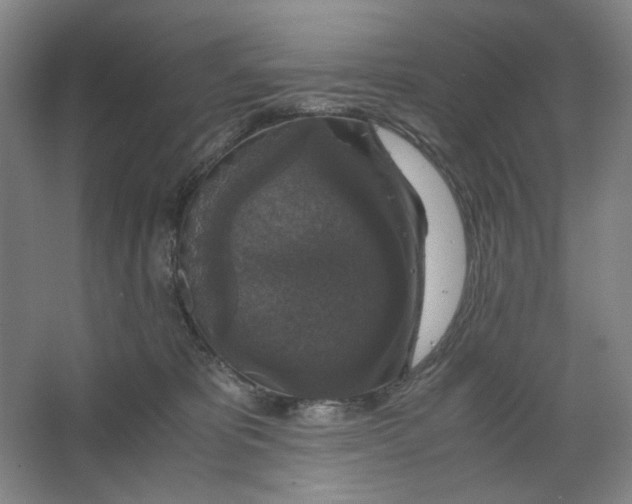 X0000063460325200602101721