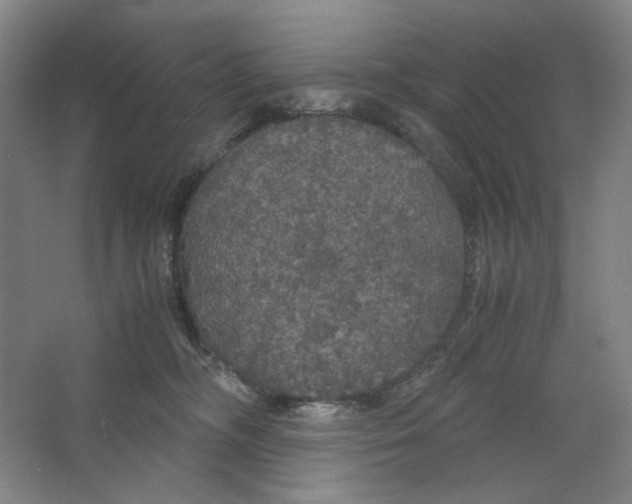 X0000063460326200602101721
