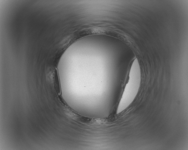 X0000063460329200602101721