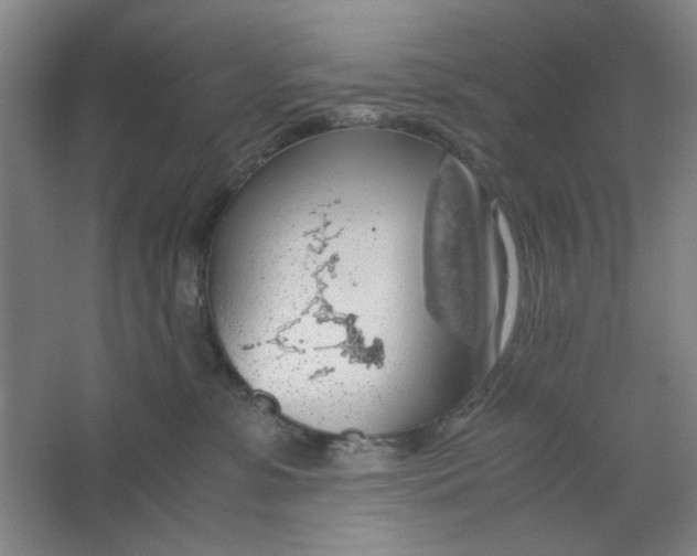 X0000063460331200602101721