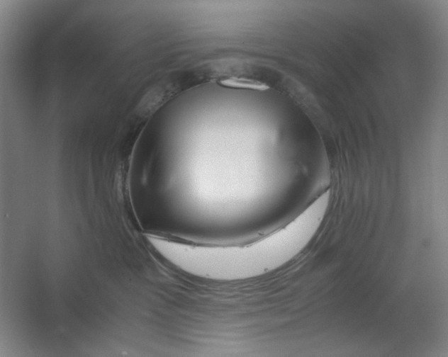 X0000063460333200602101721