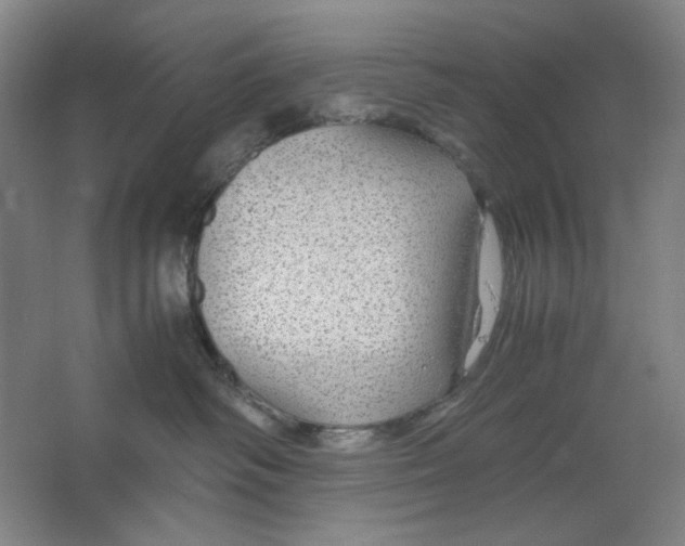 X0000063460334200602101721