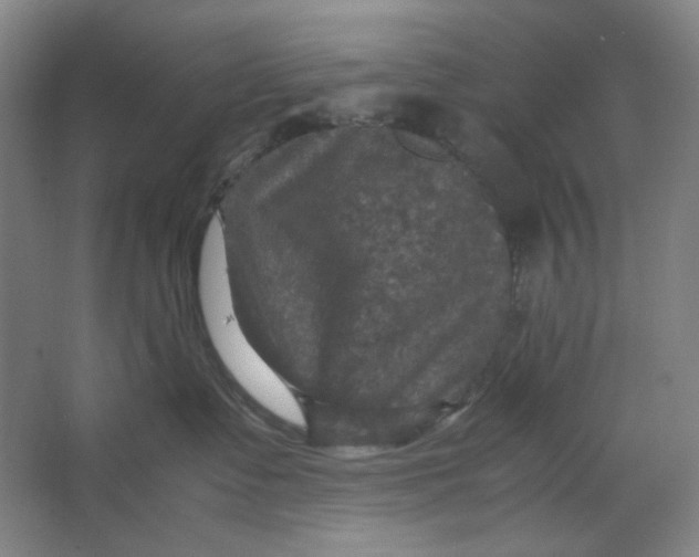 X0000063460335200602101721