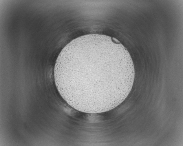 X0000063460336200602101721