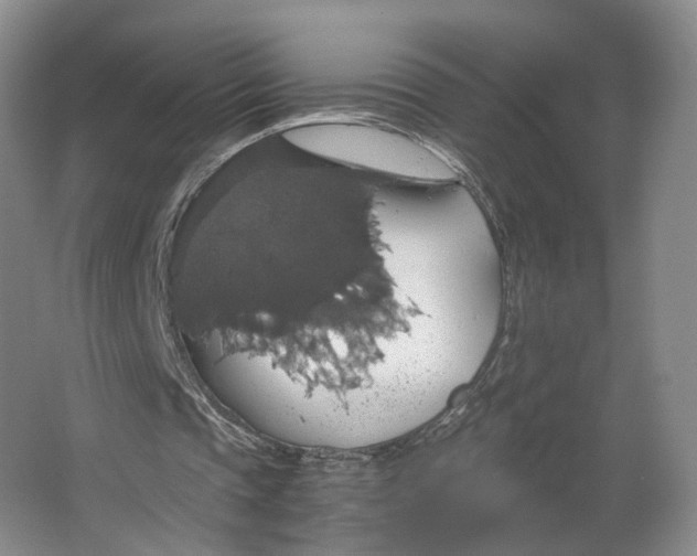X0000063460337200602101720