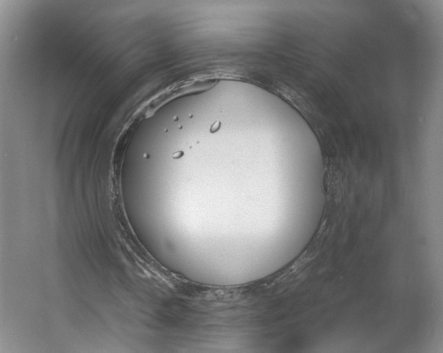 X0000063460338200602101720