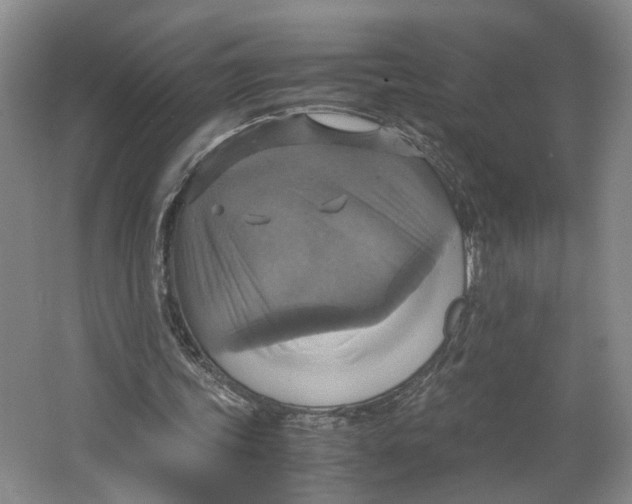 X0000063460339200602101720