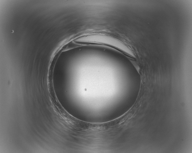 X0000063460340200602101720