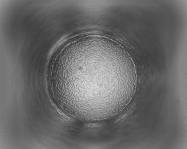 X0000063460341200602101720