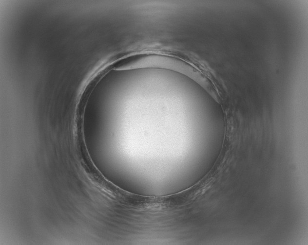 X0000063460344200602101720
