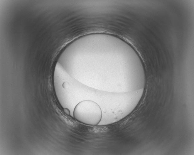 X0000063460345200602101720