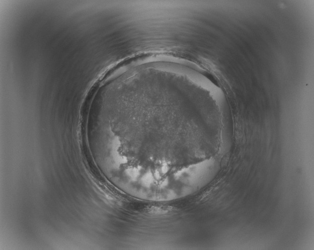 X0000063460346200602101720