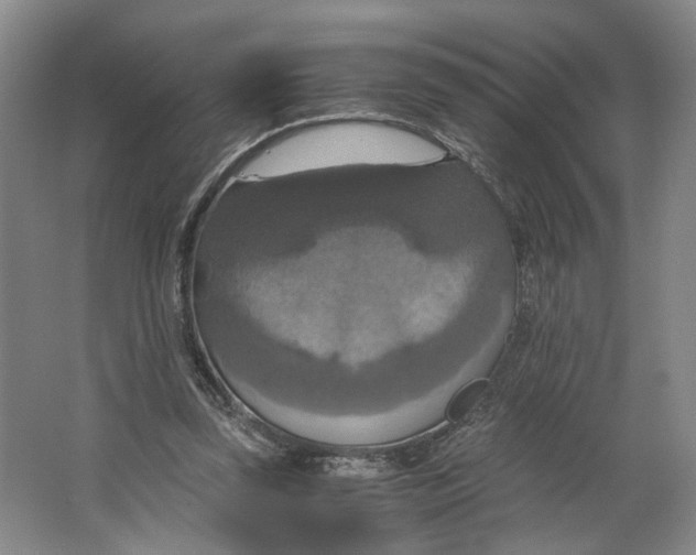 X0000063460347200602101720