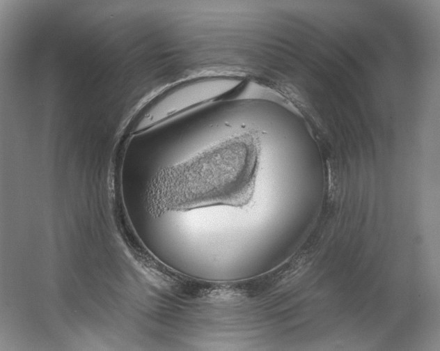 X0000063460348200602101720