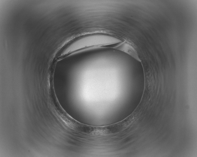 X0000063460350200602101720