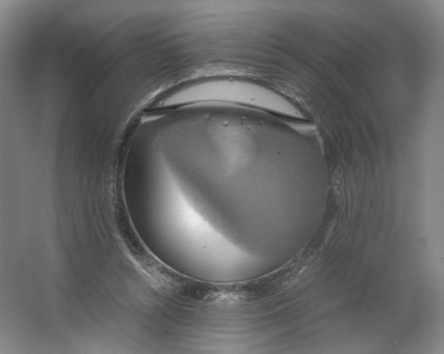 X0000063460352200602101720