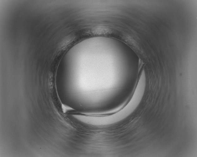 X0000063460356200602101720
