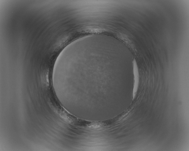 X0000063460358200602101720