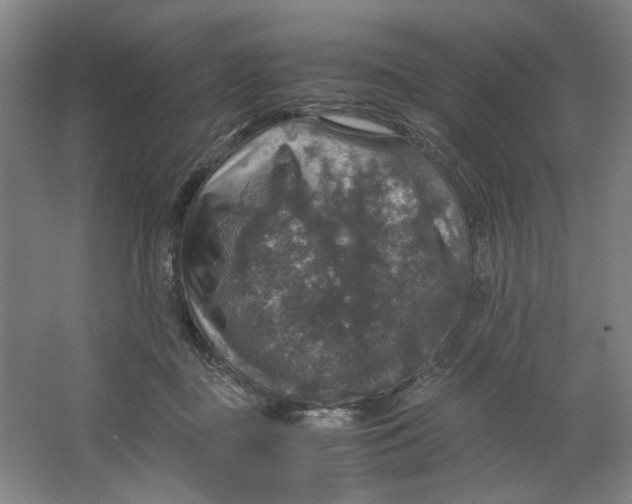 X0000063460363200602101720