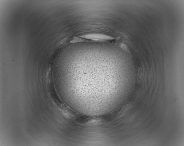 X0000063460364200602101720