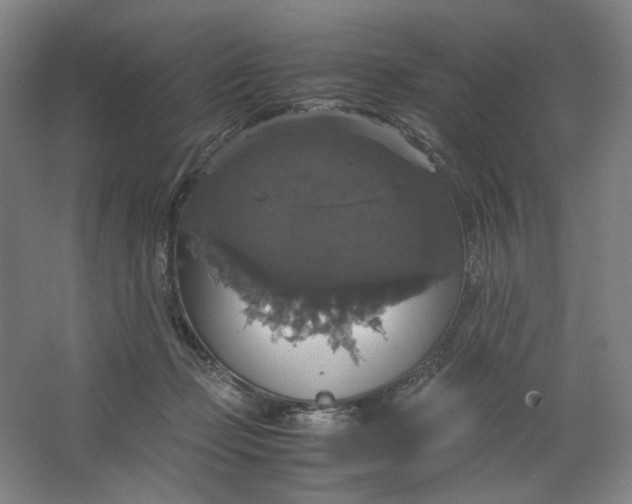X0000063460365200602101720