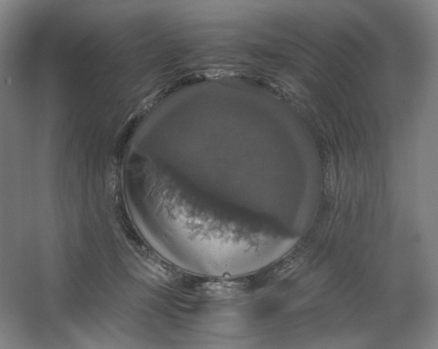X0000063460367200602101720