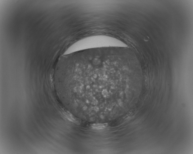 X0000063460373200602101721