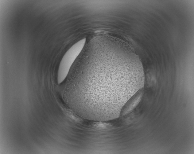 X0000063460379200602101721